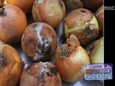 [긴급취재] 곰팡이 고추 대량유통! 내가 산 고춧가루도?! 클립 이미지