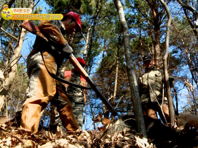 무리한 도전 - 산야의 무법자 멧돼지를 잡아라 클립 이미지
