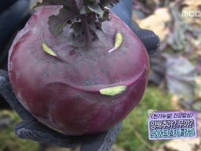플레이어