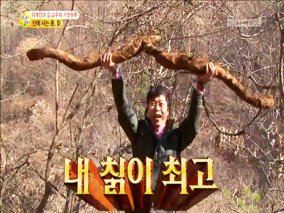 산 속의 용, 칡 클립 이미지