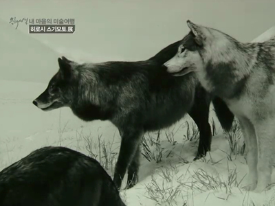 내 마음의 미술여행 - ‘사유하는 사진’, 히로시 스키모토 사진전 클립 이미지