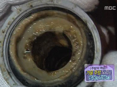 [주방의 역습] 주방을 노리는 괴 벌레의 정체? 클립 이미지