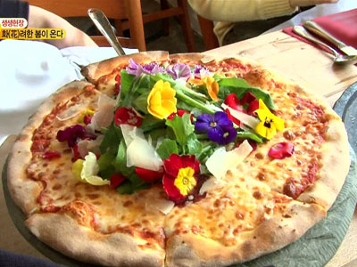 생생현장 - 화(花)려한 봄이 온다 클립 이미지