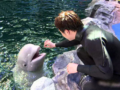 왕배의 무리한 도전 - 바다 속을 청소하라! 클립 이미지