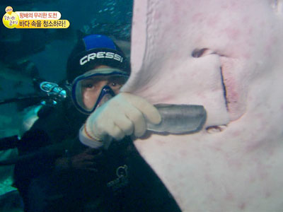 왕배, 오징어-상어에 아찔한 먹이주기 대성공! 클립 이미지