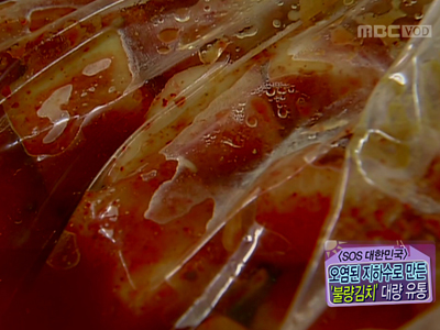 [긴급취재] 오염된 지하수로 만든‘불량 김치’대량 유통!  클립 이미지