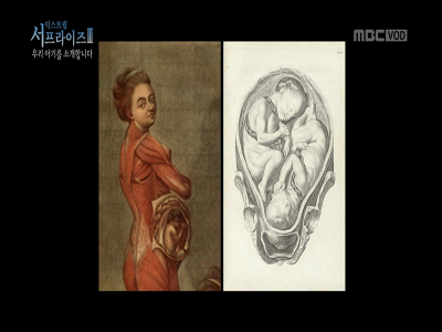 Extreme Surprise Ⅲ. 우리 아기를 소개합니다. 클립 이미지