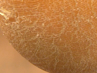 ‘꿈치 미녀’되는 비법은?  클립 이미지