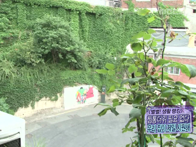 [여름기획] 찜통더위에도 끄떡없는 시원한 집의 비밀! 클립 이미지