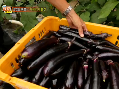 < 이승환의 맛있는 여행 >보랏빛 영양! 가지의 재발견 클립 이미지