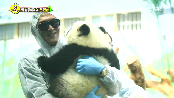 "첫 눈에 사랑 느껴"-냉동인간 박준형, 판다 쿠쿠 애정공세에 '해동!'  클립 이미지
