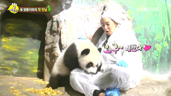 유리 애교 폭발-유리, 판다 슈슈에 홀딱 반해 애교 대방출 클립 이미지