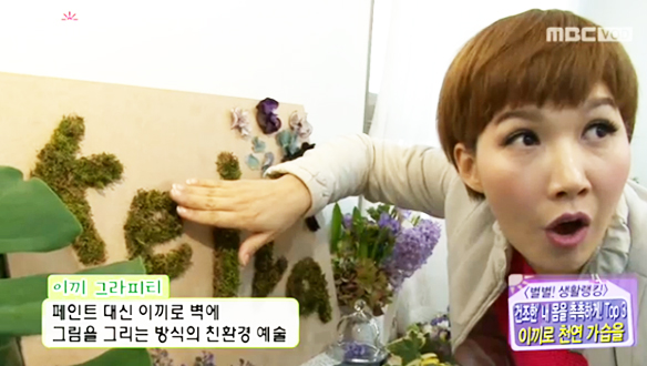 페인트 대신 '이끼 그라피티'로 친환경 인테리어를~ 클립 이미지