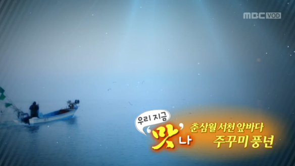 [우리 지금‘맛’나] 춘삼월, 서천 앞바다 주꾸미 풍년 클립 이미지