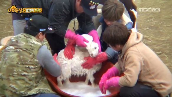 윤도현, 목욕 거품 내기 탁월 "세탁소집 아들이었다"  클립 이미지