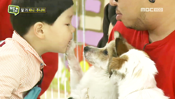 파니·주니 제주도 입양 "건강하게 잘 지내길"  클립 이미지