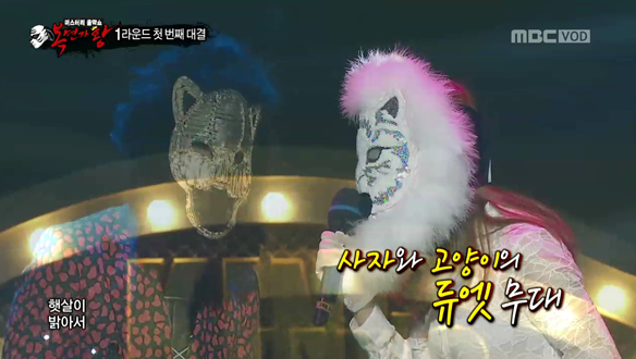 집 나온 수사자 VS 앙칼진 백고양이<대낮에 한 이별> 클립 이미지