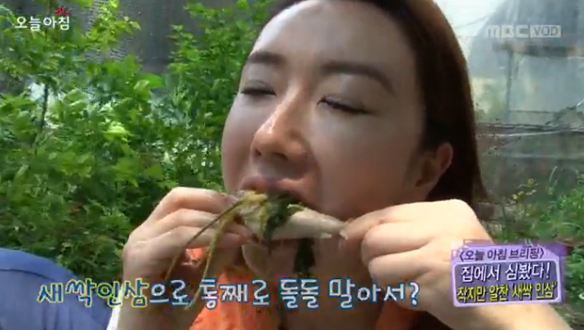 [오늘아침 브리핑] 클립 이미지