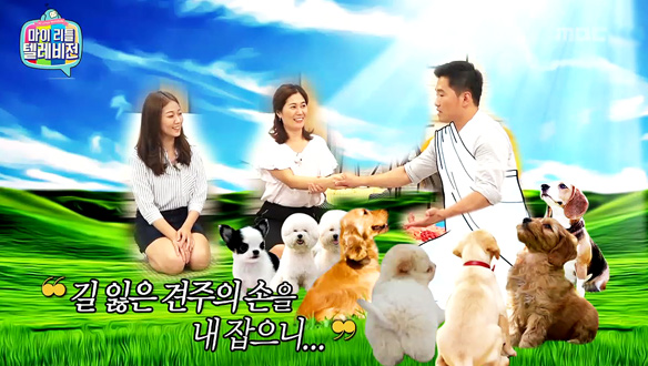 '힐링 조련사' 강형욱 - 문제 행동 강아지, 주인과의 '관계 회복이 먼저' 손 경계심 풀기 팁 공개