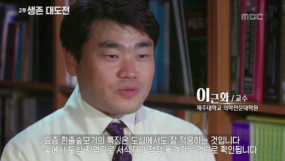 지카 바이러스 옮기는 '흰줄숲모기' 개체 수 점점 늘어나…이제 안전지대가 아닌 한반도
