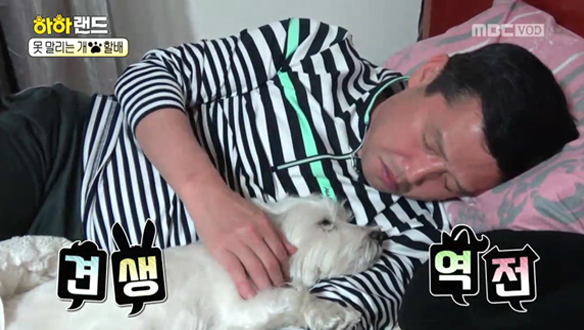 개 싫어하던 아빠, 어느 날 대성통곡 후 사랑 넘치는 애견인이 되었다? 클립 이미지