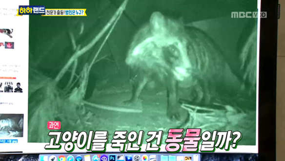 인간의 잔인한 범죄일까, 야생동물의 습격일까? 전문가들의 범인 추적! 클립 이미지