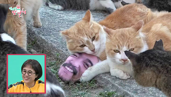 고양이 섬에 도착한 병재X규선, 이게 바로 힐링~♡ 클립 이미지