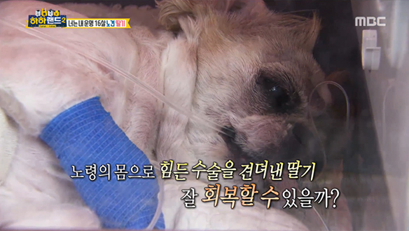 16살 엄마 껌딱지 '딸기'와 엄마의 애틋함 클립 이미지