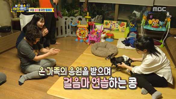 14살 '콩이'를 위한 특별한 휠체어 클립 이미지