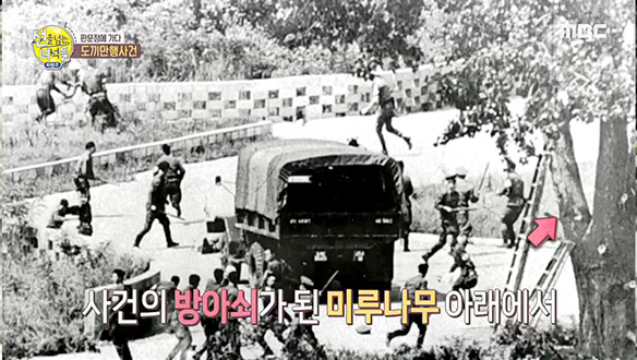 미루나무 한그루 때문에 ※데프콘3※ 발령해야 했던 이유 클립 이미지
