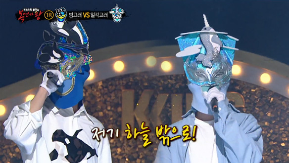 고음을 고래고래~ 범고래 VS 내가 이길 각!일각고래 <UFO> 클립 이미지