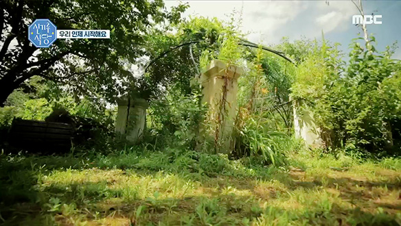 들꽃길을 따라가면 나타나는 비밀의 허허벌판.. ? 여기가 바로 식당 터!