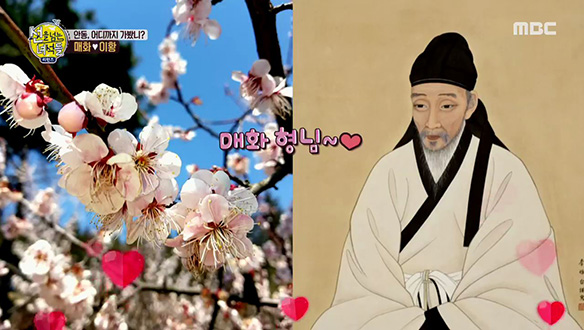 퇴계 이황의 각별한 매화 사랑♥ 클립 이미지
