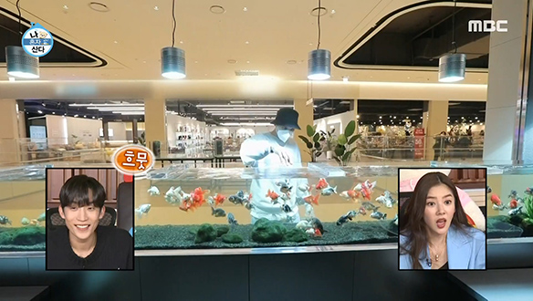 오색찬란 물고기들로 가득한 도심 속 미니 아쿠아리움♤ 클립 이미지