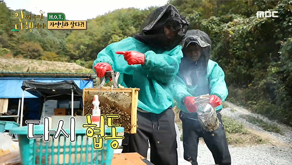 자연인이 아끼는 양봉장에 배고픈 벌들이 산다?! 클립 이미지