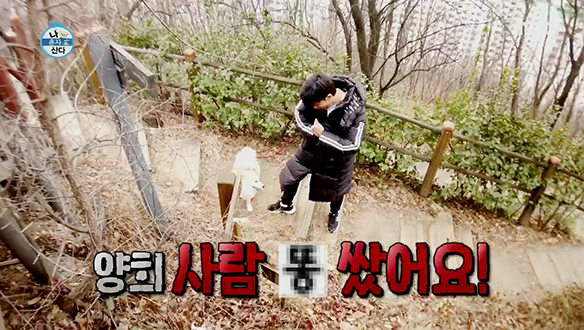 매봉산에 올라 양희를 외친다~ 양희야! 기다려! 클립 이미지