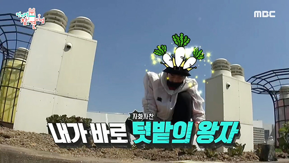 도시농부 꿈꾸는 조한선, 알고 보니 텃밭 왕자★ 클립 이미지