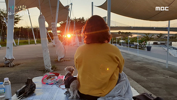 상실의 아픔을 견디게 해주는 진이와의 추억 클립 이미지