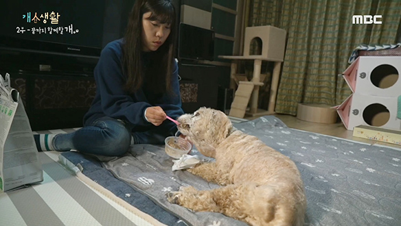 늙고 병들어도 포기할 수 없는 건 가족이니까요 클립 이미지