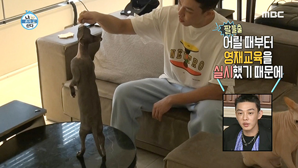 반려묘 도비&장비와 함께하는 유아인의 간식 타임♥ 클립 이미지