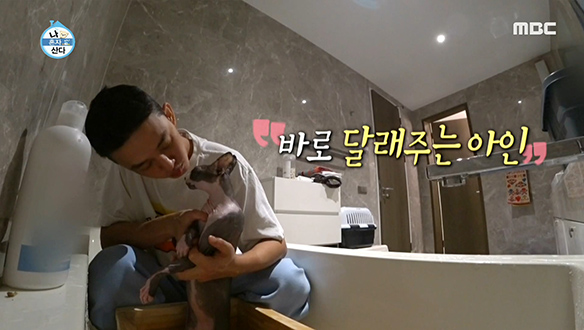 냥집사 유아인이 터득한 반려동물과의 소통 방법 클립 이미지