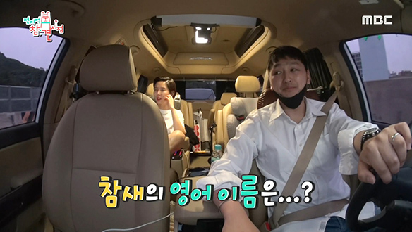 여러분은 참새의 영어 이름을 아십니까? 클립 이미지