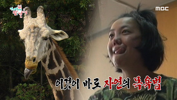 진화(?)를 거부한 고은아(방효진)의 야인 텐션♨ 클립 이미지