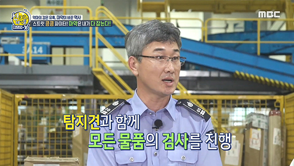 마약 단속의 최전선에서 맹활약 중인 마약 탐지견들