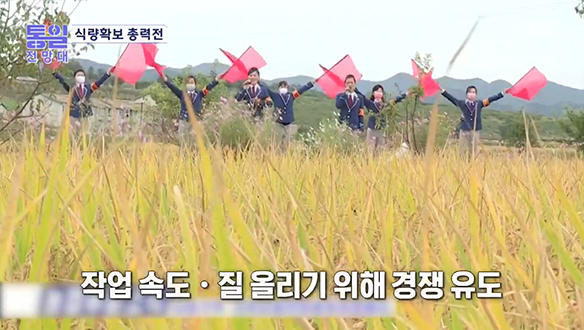 [2021-10-09 975회] 논마다 '벼가을' 경기 식량확보 경쟁 클립 이미지