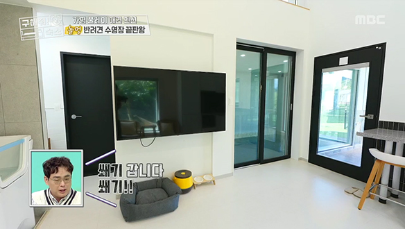 <가평 풀레이 애견 펜션> 풀레이의 끝판왕, 프라이빗 풀! 클립 이미지