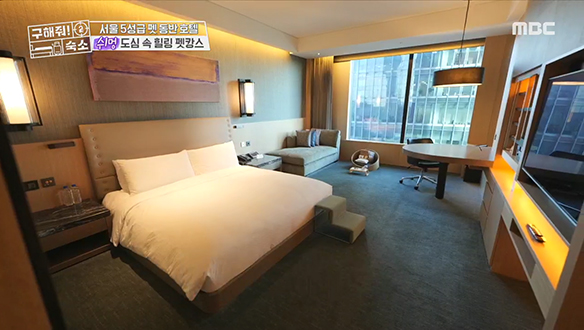 <서울 5성급 펫 동반 호텔> 도심 속에서도 즐길 수 있는 펫캉스!  클립 이미지