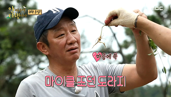 마이클 조던 도라지 캐고 기세등등해진 청년회 클립 이미지