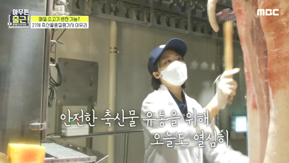 멀리서 오는 돼지를 봐도 머리에 떠오르는 등급! 짧은 시간 안에 이루어지는 돼지 판정🐷 클립 이미지