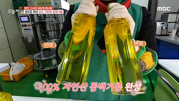 동백 씨앗을 먹고 바른다?! 팔방미인 '동백기름' 클립 이미지